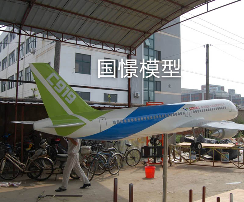 龙州县飞机模型